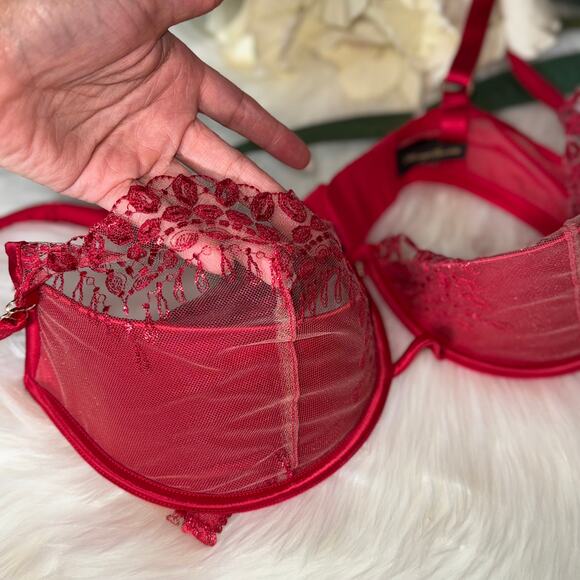 Honey Birdette 36H Red Embroidered Mesh Balcony Bra Cage Detail Missing Chain - Picture 13 of 16